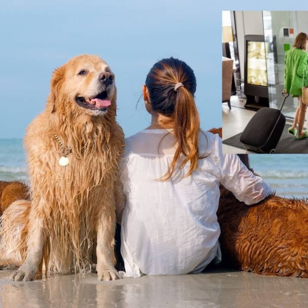 10 Essential Pet-Friendly Travel