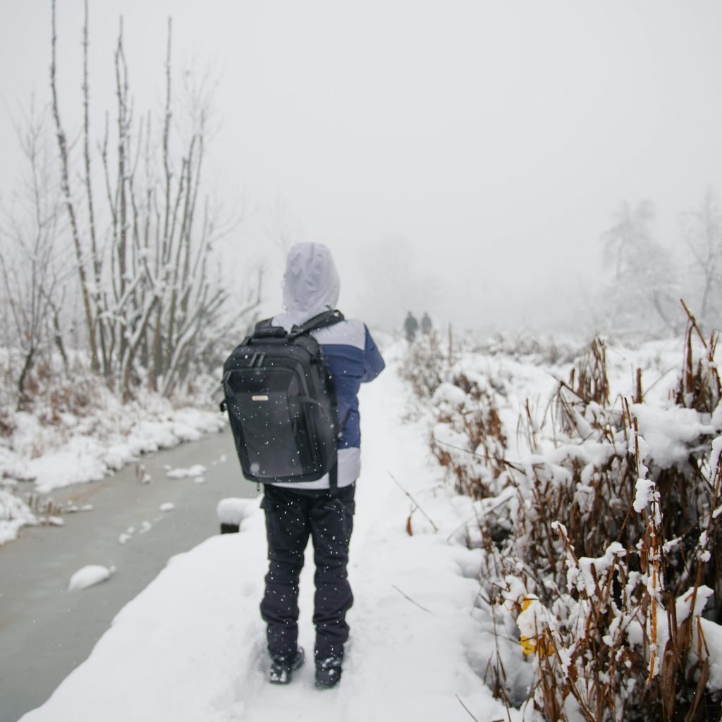 Free stock photo of 2020 wallpaper, 2024 wallpaper, 2025 wallpaper